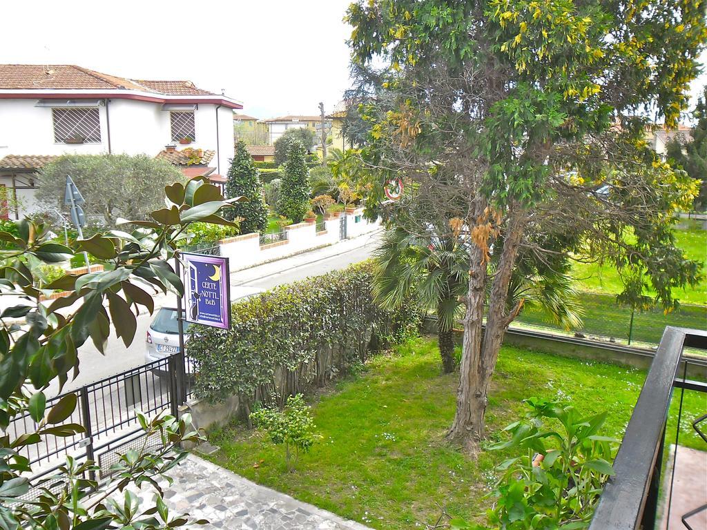 Certe Notti Bed & Breakfast Pisa Dış mekan fotoğraf
