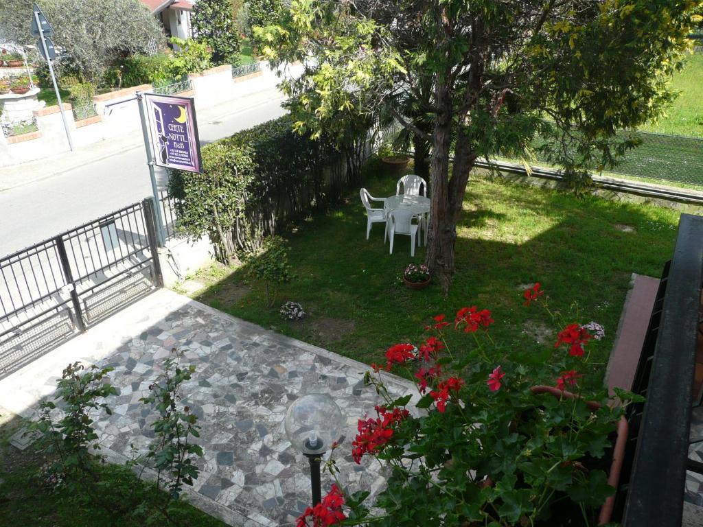 Certe Notti Bed & Breakfast Pisa Dış mekan fotoğraf